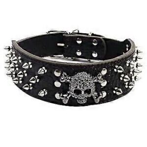 Collier clouté chien 50cm*5cm