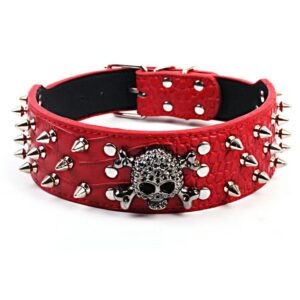 Collier clouté chien 50cm