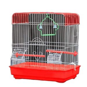 Cage oiseaux
