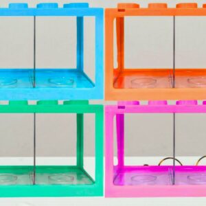 Petit aquarium pour deux poissons avec séparation