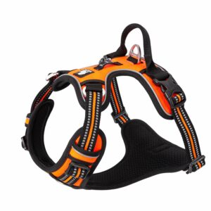 Harnais chien taille xl