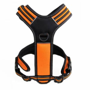 Harnais chien taille s