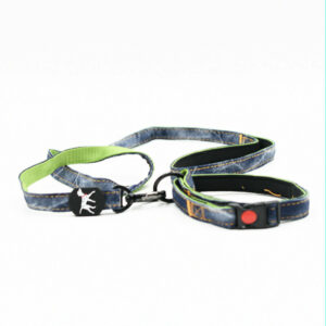 Laisse et collier de luxe Taille 2