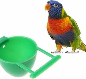 Porte oeuf multicolore