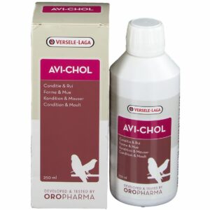 Avicole oiseau
